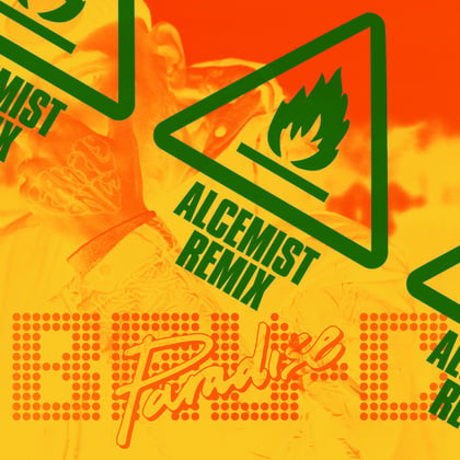 Paradise (Alcemist Remix) album by Bru-C & Alcemist - Drum and Bass Cover Art