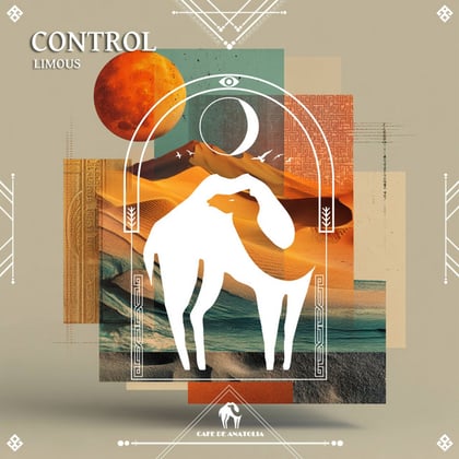 Control album by Tengu, LIMOUS & Cafe De Anatolia - Drum and Bass Cover Art