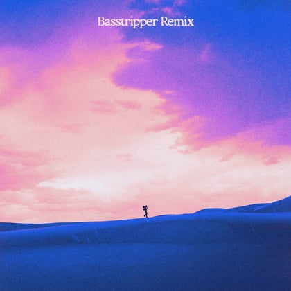 Hell In High Heels (feat. Jazmine Johnson) [Basstripper Remix] album by Netsky - Drum and Bass Cover Art