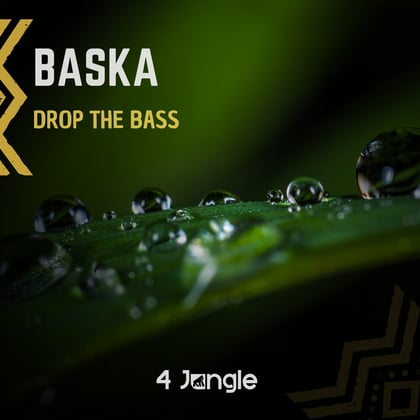 Drop The Bass album by Baska - Drum and Bass Cover Art