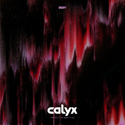 Tempest / You Want It All album by Calyx - Drum and Bass Cover Art