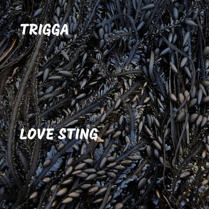 Love Sting album by Trigga - Drum and Bass Cover Art