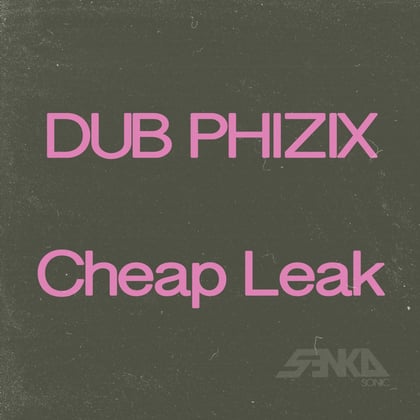 Cheap Leak album by Dub Phizix - Drum and Bass Cover Art