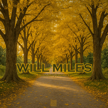 Whata Day album by Will Miles - Drum and Bass Cover Art