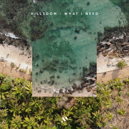 What I Need album by Hillsdom - Drum and Bass Cover Art