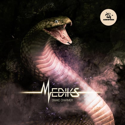 Snake Charmer album by Mediks - Drum and Bass Cover Art
