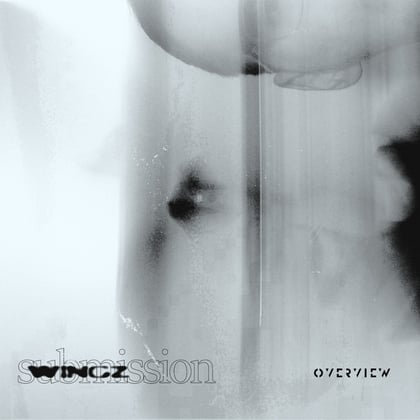 Submission album by Wingz - Drum and Bass Cover Art