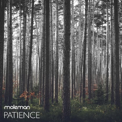 Patience album by Moleman - Drum and Bass Cover Art