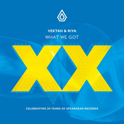 What We Got album by Vektah & Riya - Drum and Bass Cover Art