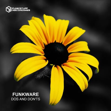 Dos And Don'ts album by Funkware - Drum and Bass Cover Art