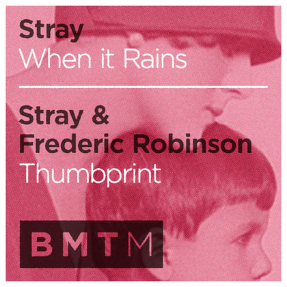 When It Rains / Thumbprint album by Stray - Drum and Bass Cover Art