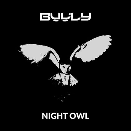 Night Owl album by Bully - Drum and Bass Cover Art
