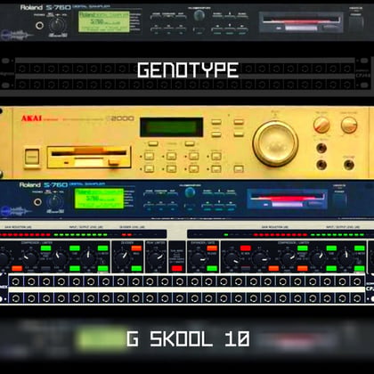 G Skool Vol 10 album by Genotype - Drum and Bass Cover Art