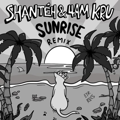 Sunrise (Remix) album by 4am Kru - Drum and Bass Cover Art