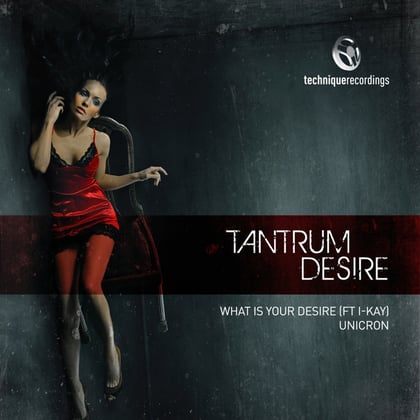 What Is Your Desire album by Tantrum Desire - Drum and Bass Cover Art