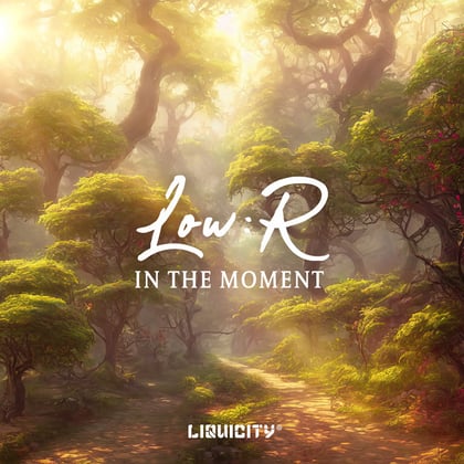 In The Moment album by Low:r - Drum and Bass Cover Art