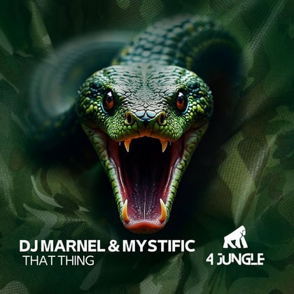 That Ting album by DJ Marnel & Mystific - Drum and Bass Cover Art