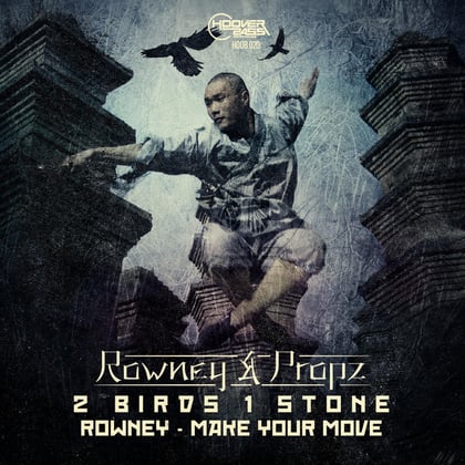 2 Birds 1 Stone / Make Your Move album by Propz & Rowney - Drum and Bass Cover Art