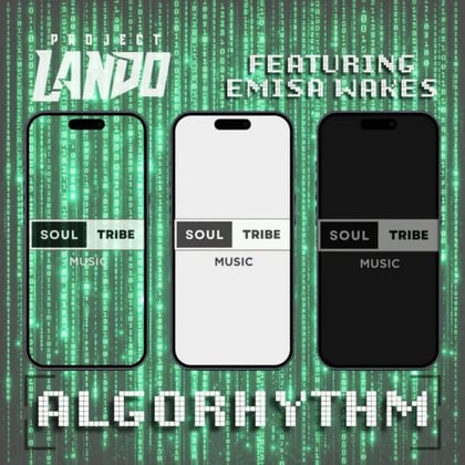 Algorhythm album by Project Lando - Drum and Bass Cover Art