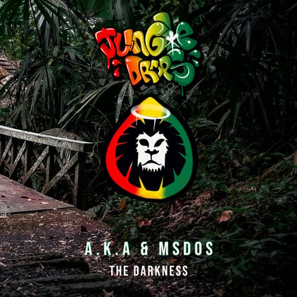 Jungle Drops 31 album by A.K.A & MSDOS - Drum and Bass Cover Art