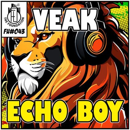 Echo Boy album by Salaryman & Veak - Drum and Bass Cover Art