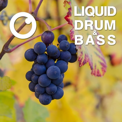 Liquid Drum & Bass Sessions 2020 Vol 15 : The Mix album by Dreazz - Drum and Bass Cover Art