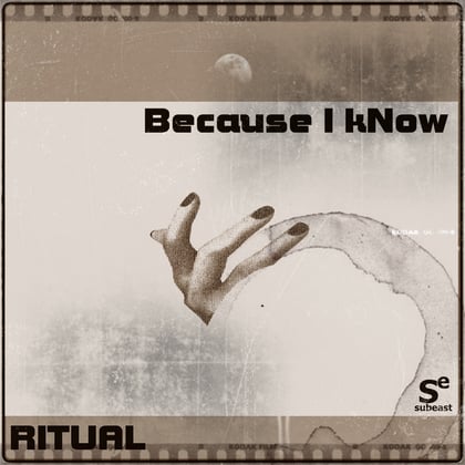 Because I Know album by Ritual - Drum and Bass Cover Art