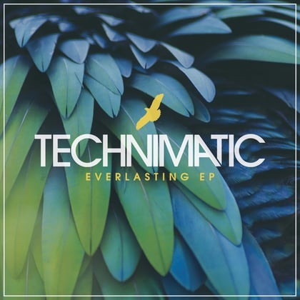 Everlasting EP album by Technimatic - Drum and Bass Cover Art