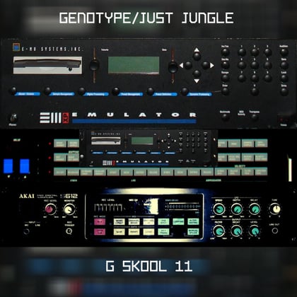 G Skool 11 album by Genotype - Drum and Bass Cover Art