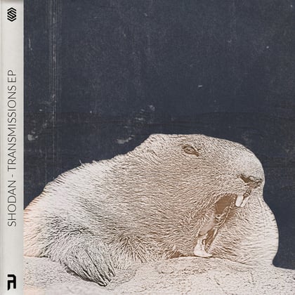Transmissions album by Shodan - Drum and Bass Cover Art