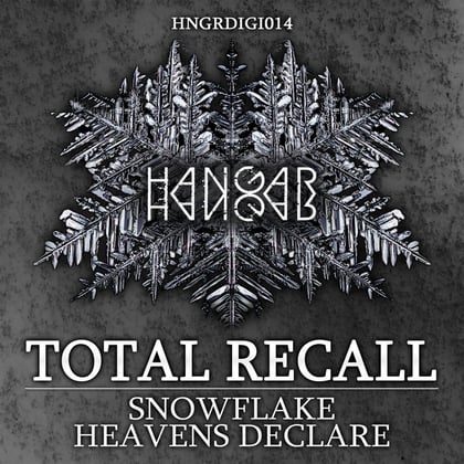 Snowflake / Heavens Declare album by Total Recall - Drum and Bass Cover Art