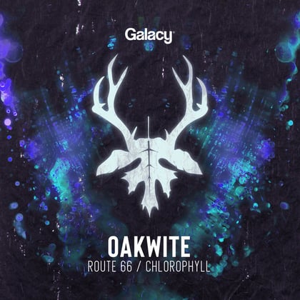 Route 66 / Chlorophyll album by Oakwite - Drum and Bass Cover Art