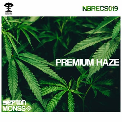 Premium Haze album by MONSS & Septon - Drum and Bass Cover Art