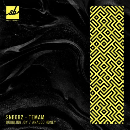 Bubbling Joy / Analog Honey album by Temam - Drum and Bass Cover Art