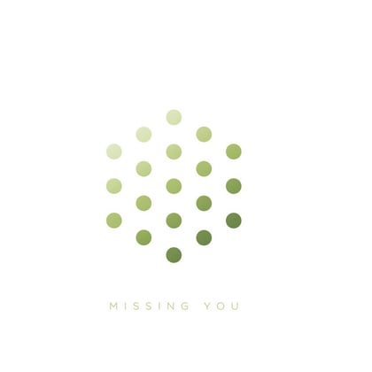 Missing You album by LSB - Drum and Bass Cover Art