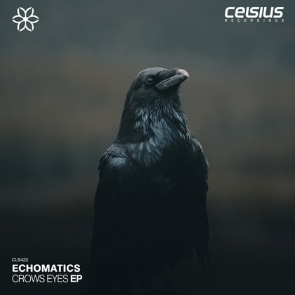 Crows Eyes EP album by Alpha Rhythm - Drum and Bass Cover Art
