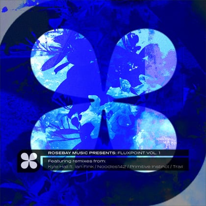 Rosebay Music Presents: Fluxpoint, Vol. 1 album by Submorphics - Drum and Bass Cover Art