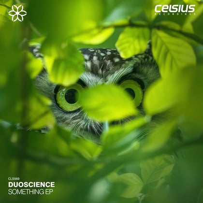 Something EP album by Duoscience & MSDOS - Drum and Bass Cover Art