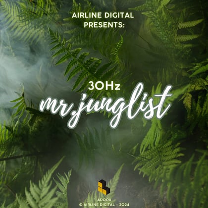 Mr. Junglist album by 30Hz - Drum and Bass Cover Art