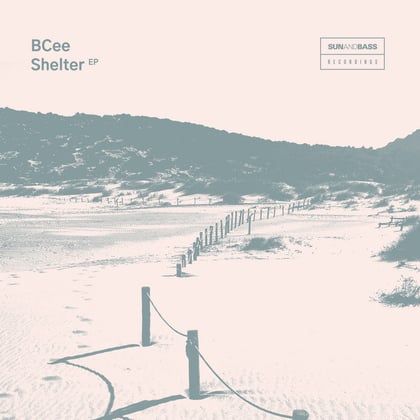 Shelter album by BCee - Drum and Bass Cover Art