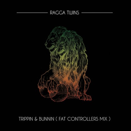 Trippin & Bunnin (Fat Controller Mix) album by Dr Meaker & Ragga Twins - Drum and Bass Cover Art