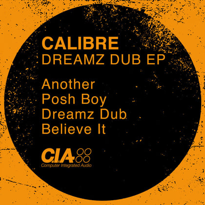 Dreamz Dub EP album by dBridge & Calibre - Drum and Bass Cover Art