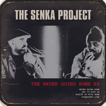The Never Going Home EP album by Dub Phizix, DRS & The Senka Project - Drum and Bass Cover Art