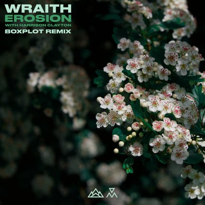 Erosion (Boxplot Remix) album by Boxplot - Drum and Bass Cover Art