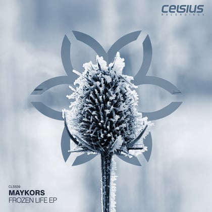 Frozen Life EP album by Maykors - Drum and Bass Cover Art