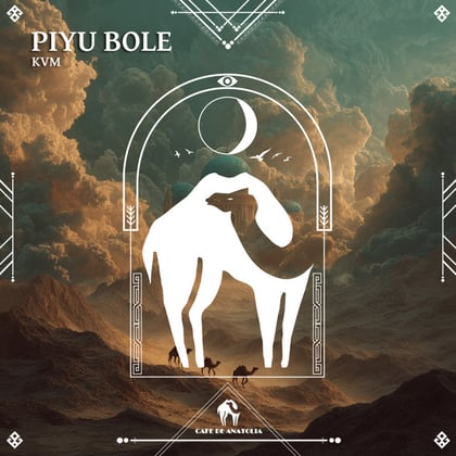 Piyu Bole album by Tengu, KVM & Cafe De Anatolia - Drum and Bass Cover Art