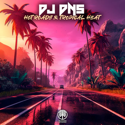 Hot Roads & Tropical Heat album by Dj Dns - Drum and Bass Cover Art