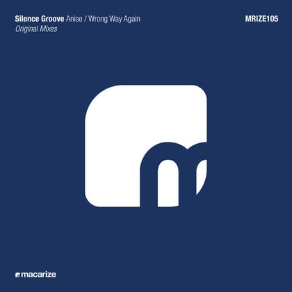 Anise / Wrong Way Again album by Silence Groove - Drum and Bass Cover Art