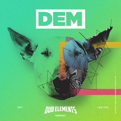 Hey! / Like This album by Dub Elements - Drum and Bass Cover Art