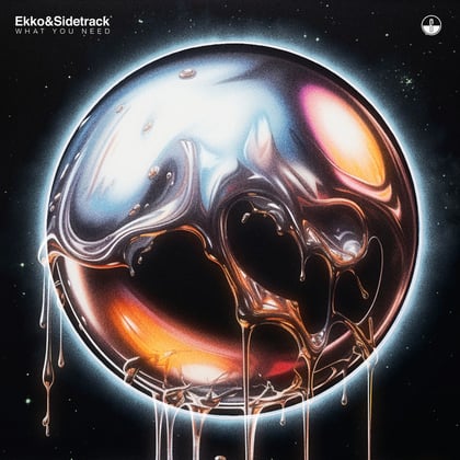 What You Need album by Ekko & Sidetrack - Drum and Bass Cover Art